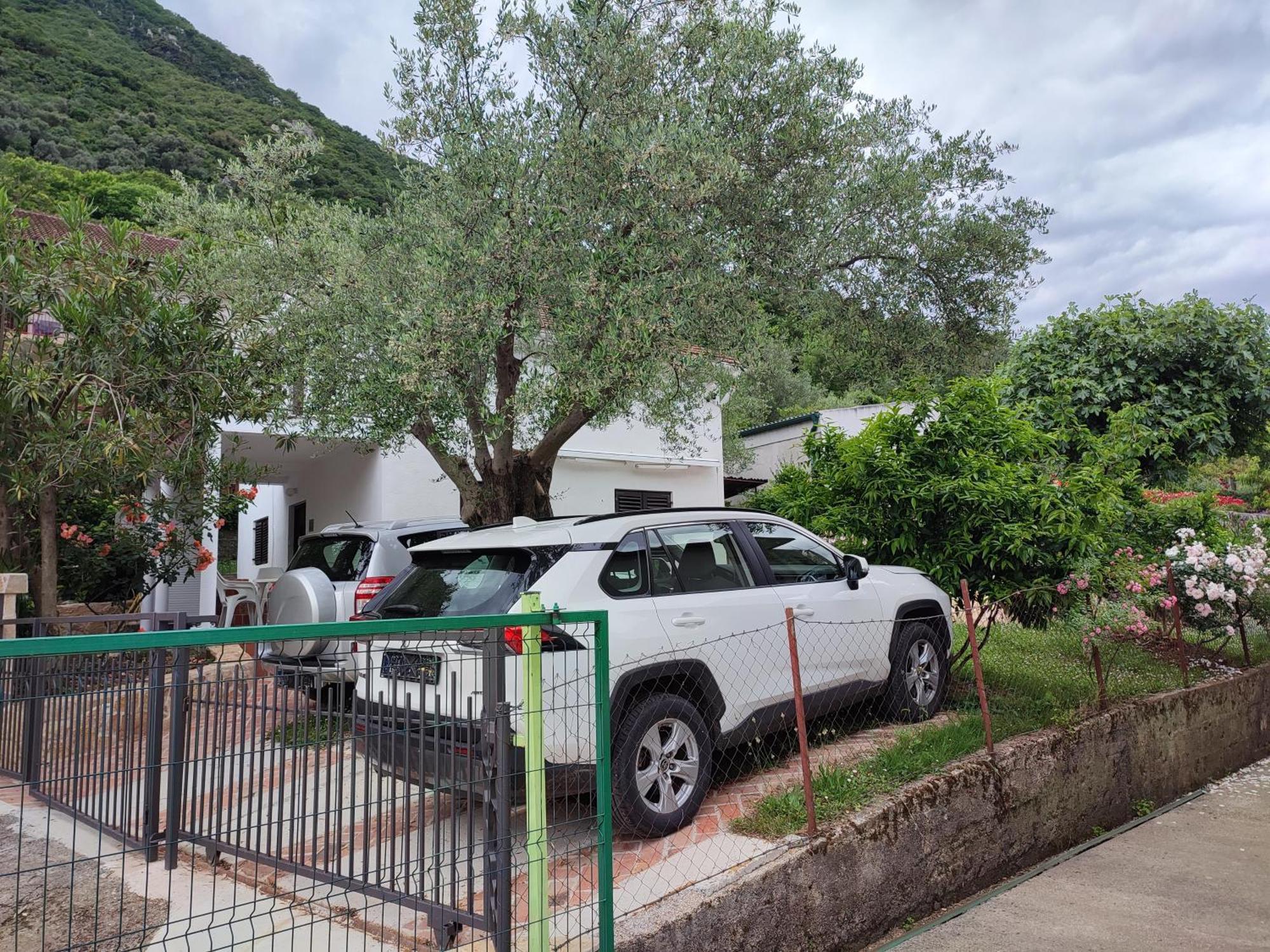 Holiday House In The Kotor Bay Екстер'єр фото
